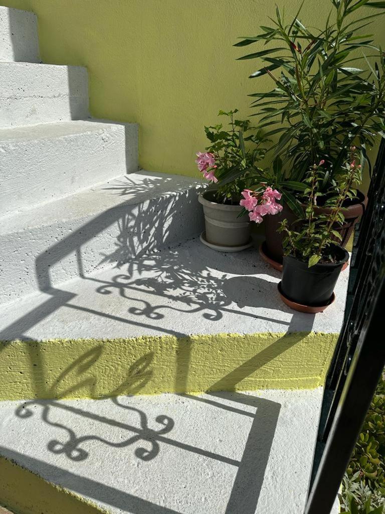 Apartments Bilic Vis Exterior foto